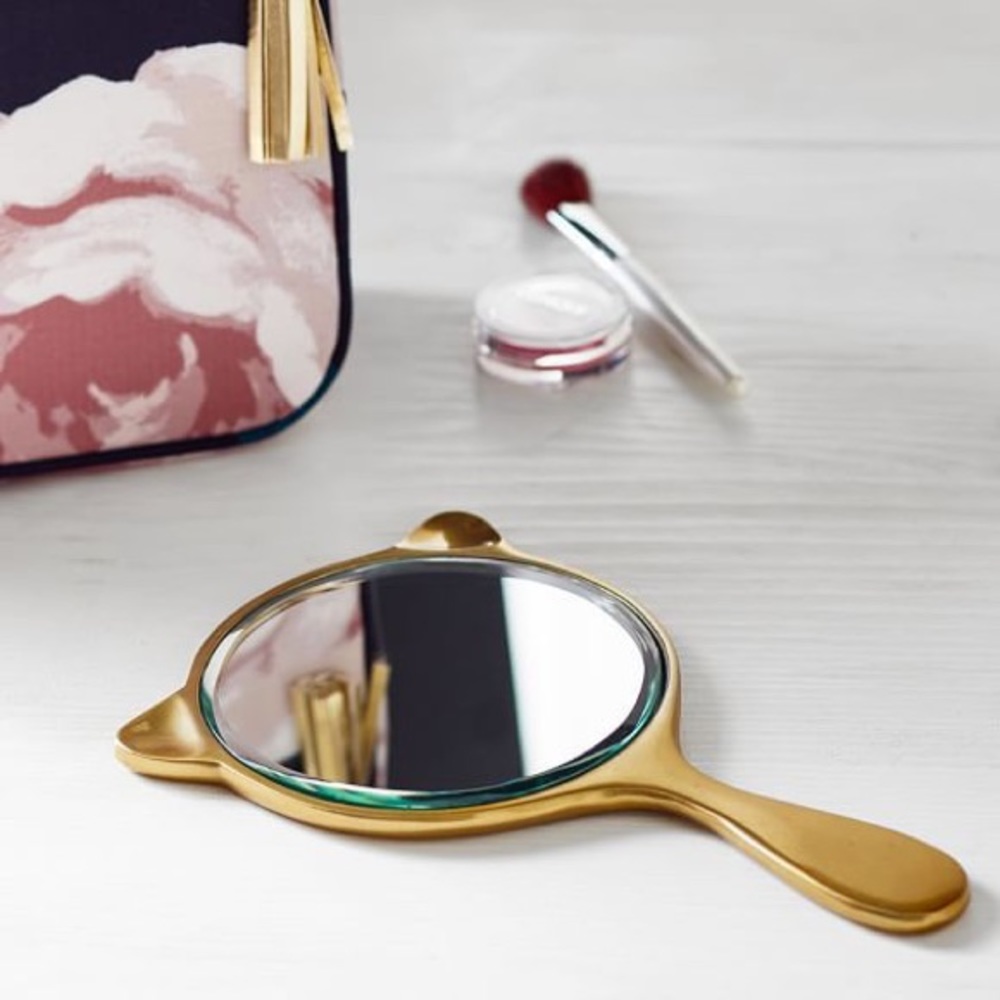 ISO: Plum & Bow or Pottery Barn Teen cat mirror
